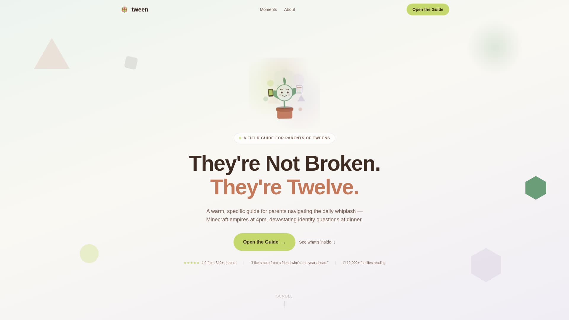 Tween (10-13) Products & Professional Website Template