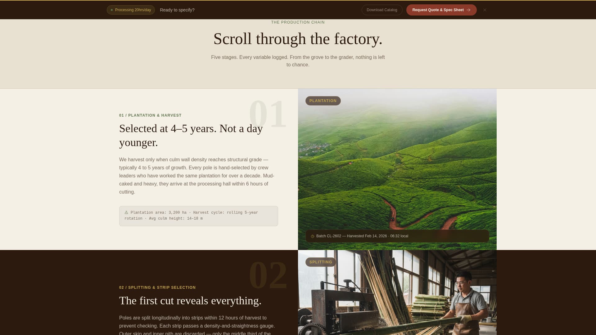 Culm — Eco-Friendly Bamboo Products Landing Page Template