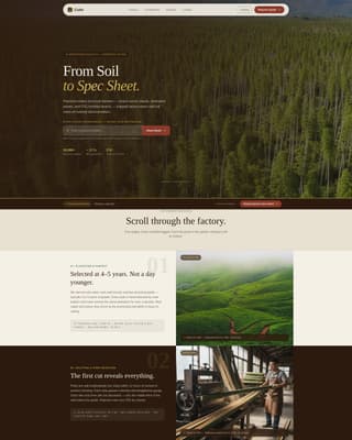 Culm — Eco-Friendly Bamboo Products Landing Page Template