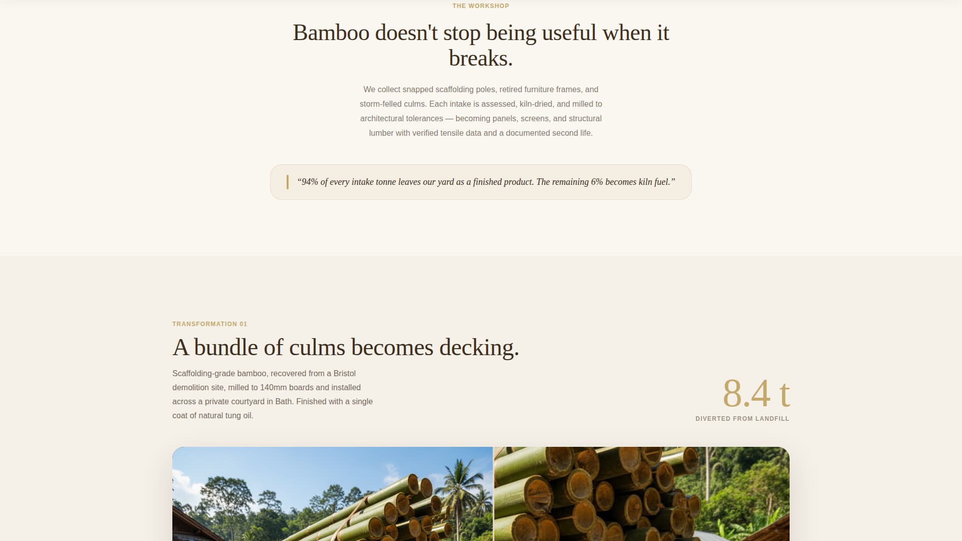 Bamboo Products & Specialist Professional Website Template