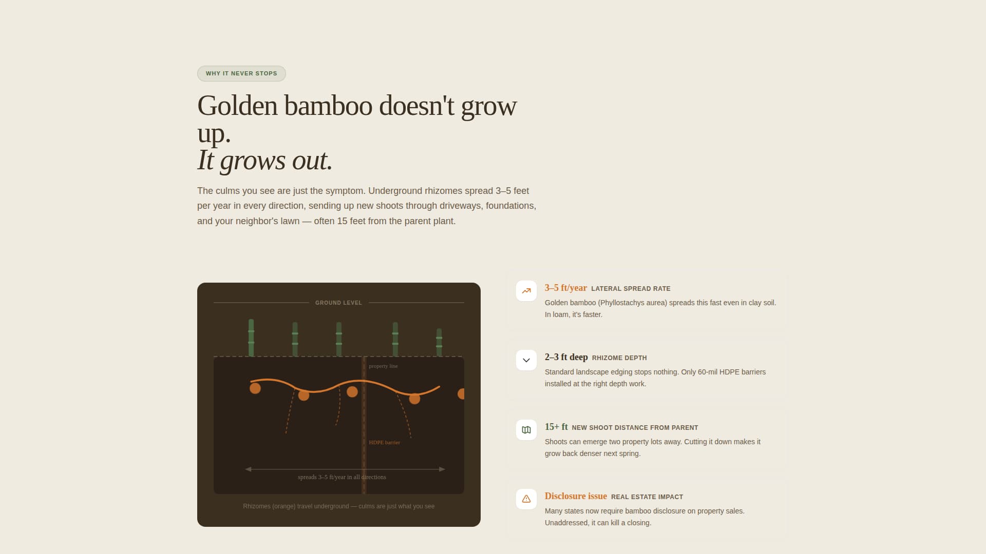 Bamboo Products & Advanced Booking Website Template