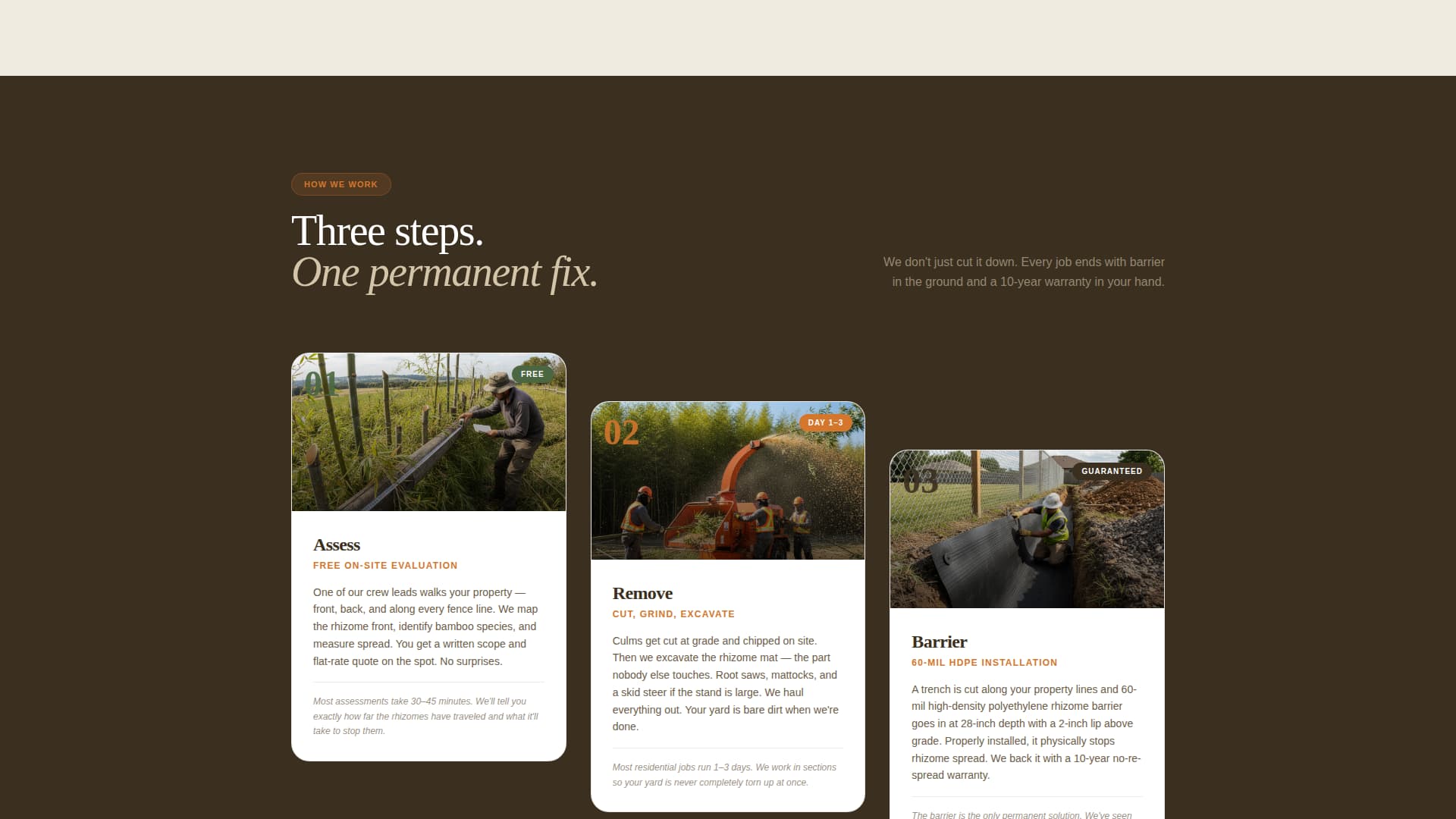 Bamboo Products & Advanced Booking Website Template