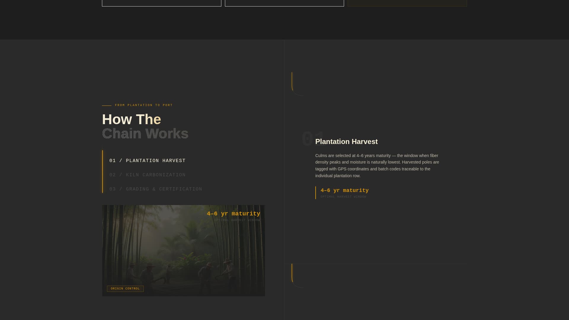 Bamboo Products & Professional Website Template