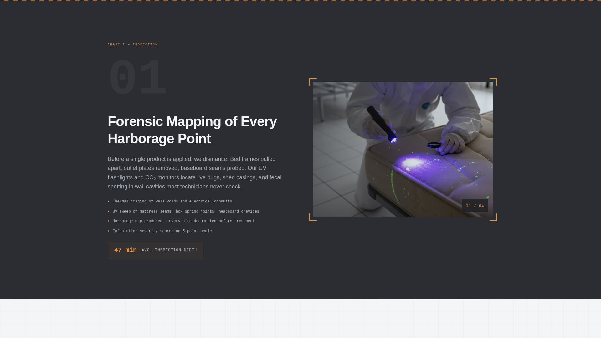 Sweep - Certified Exterminator Landing Page Template