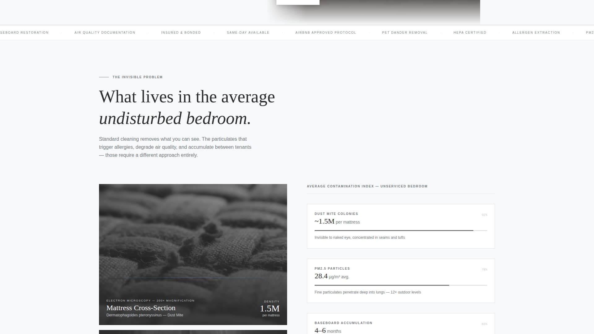 Polish — Meticulous Facility Cleaning Landing Page Template