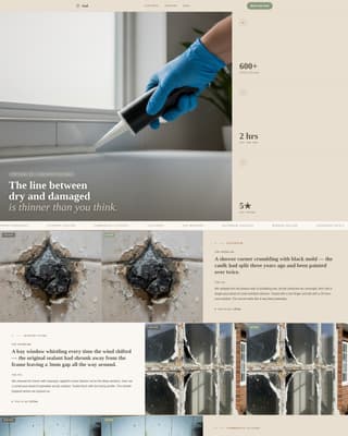 Seal - Flawless Caulking Landing Page Template