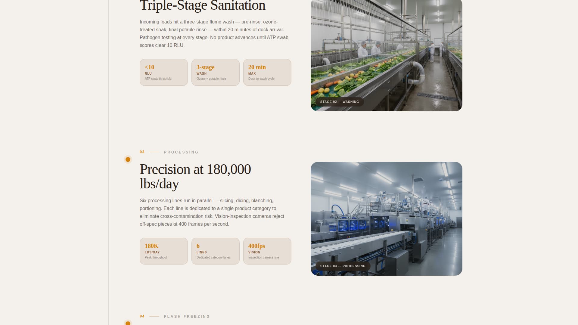 Forge - Precision Frozenfood Landing Page Template