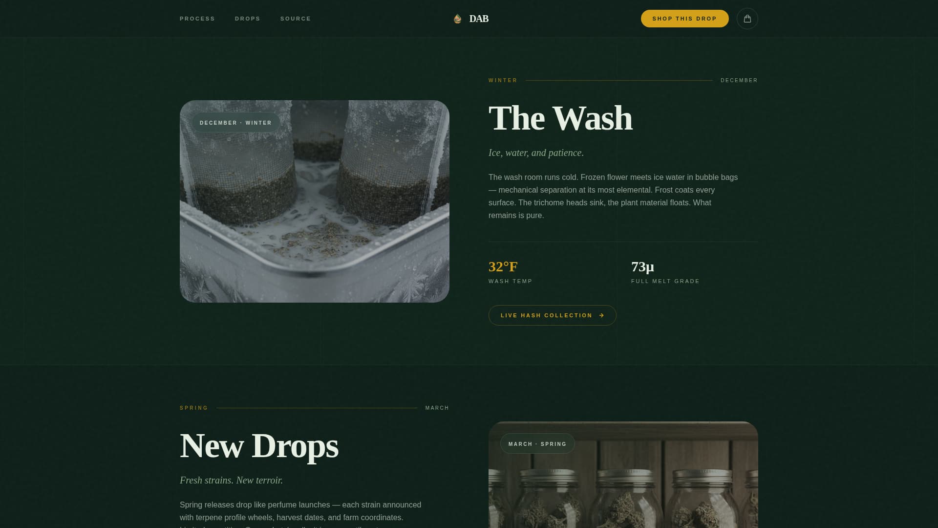 Cannabis Cultivation & Production Professional Website Template