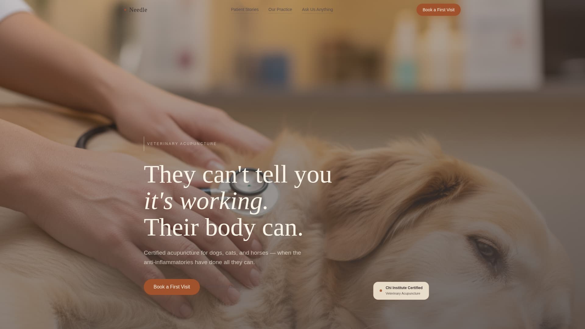 Animal - Highconverting Acupuncture Landing Page Template
