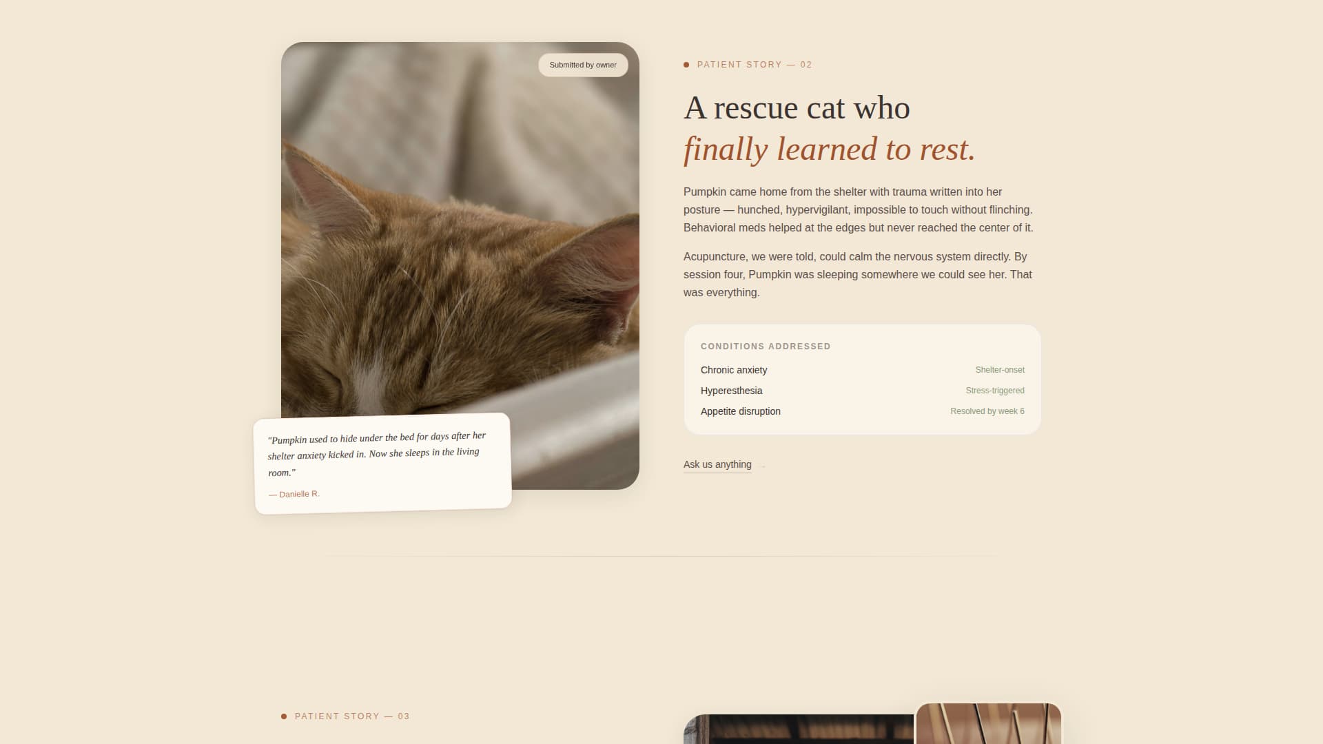Animal - Highconverting Acupuncture Landing Page Template