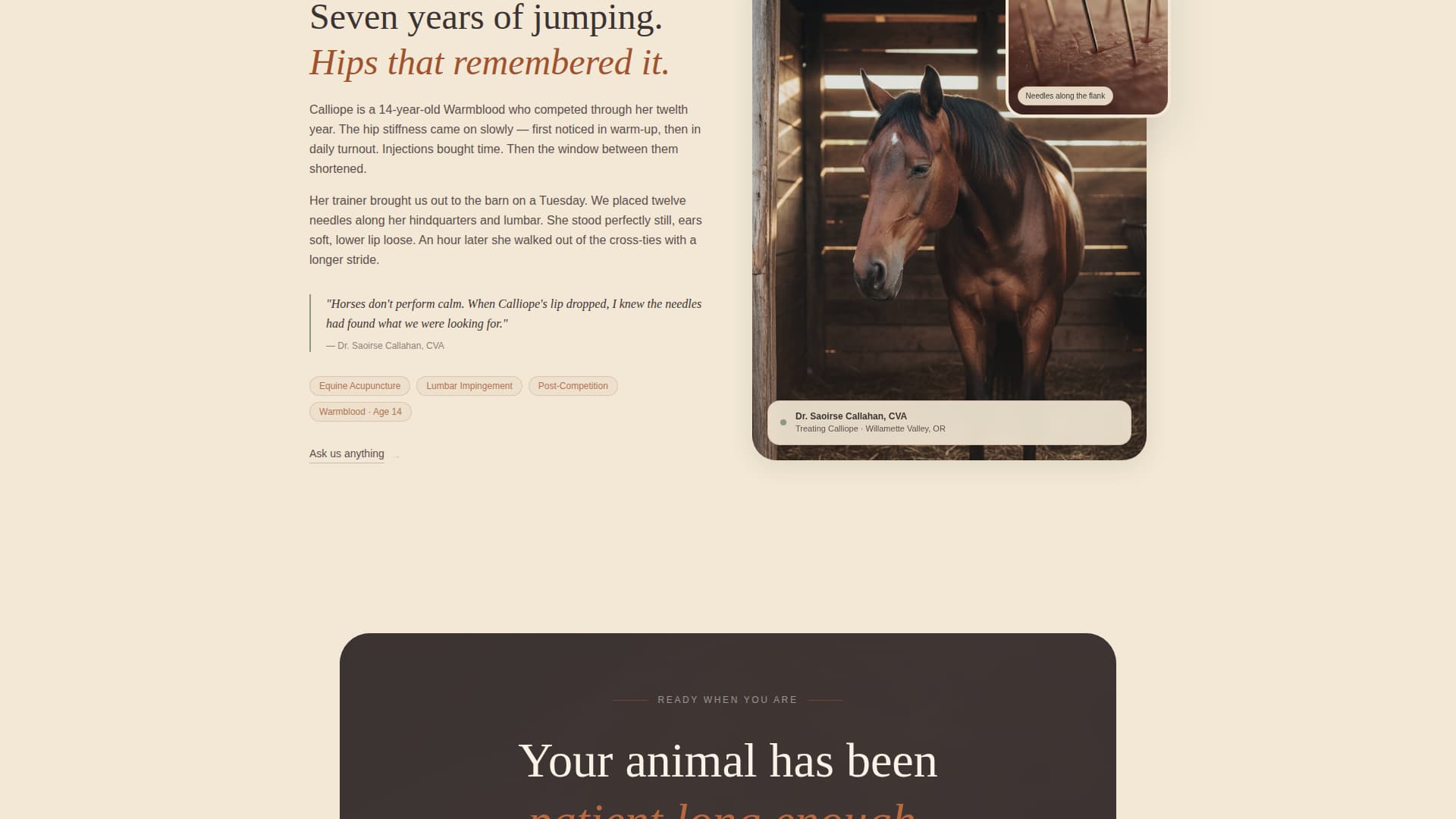 Animal - Highconverting Acupuncture Landing Page Template