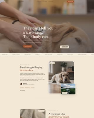 Animal - Highconverting Acupuncture Landing Page Template