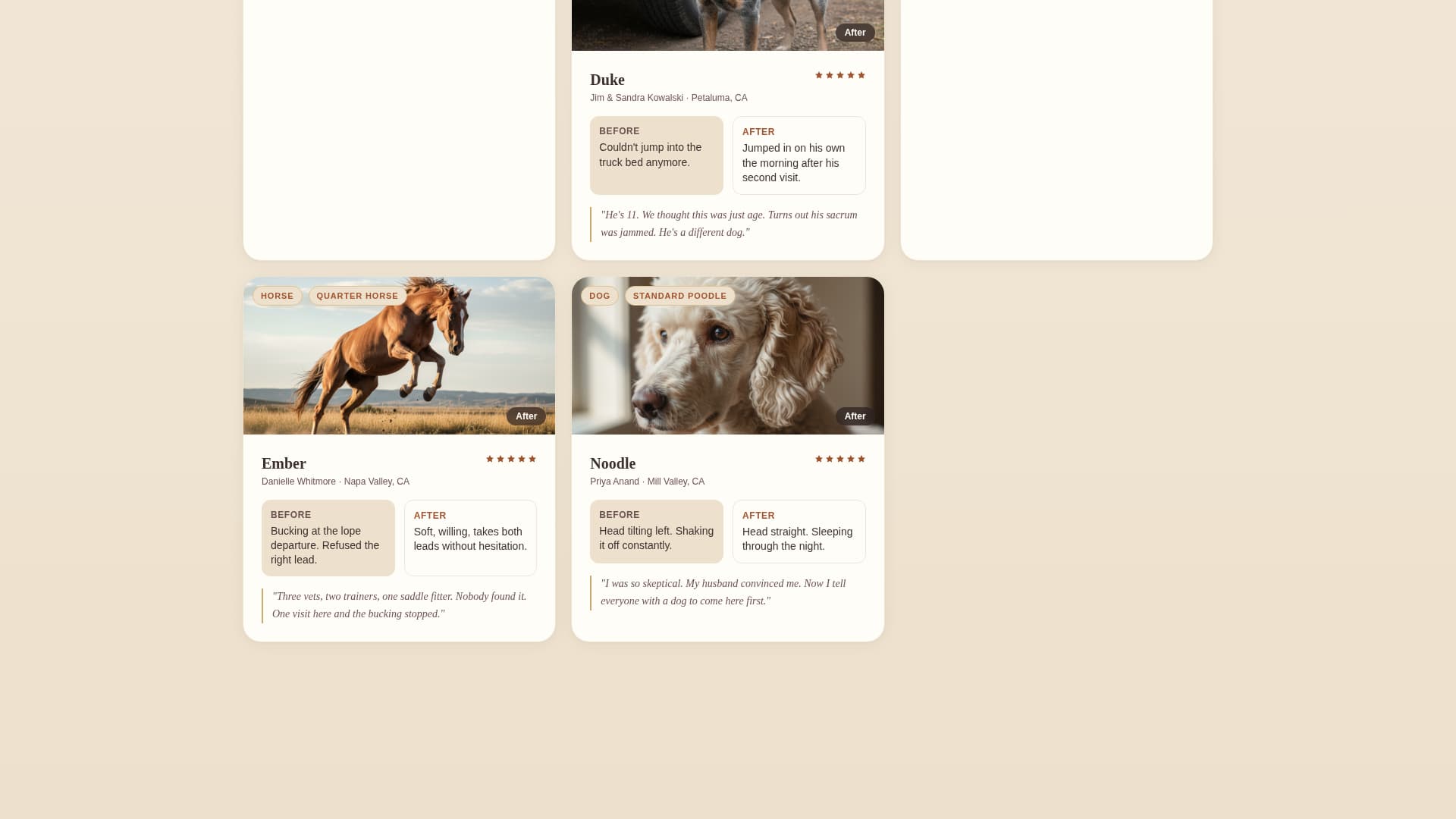 Adjust - Trusted Animalchiropractic Landing Page Template