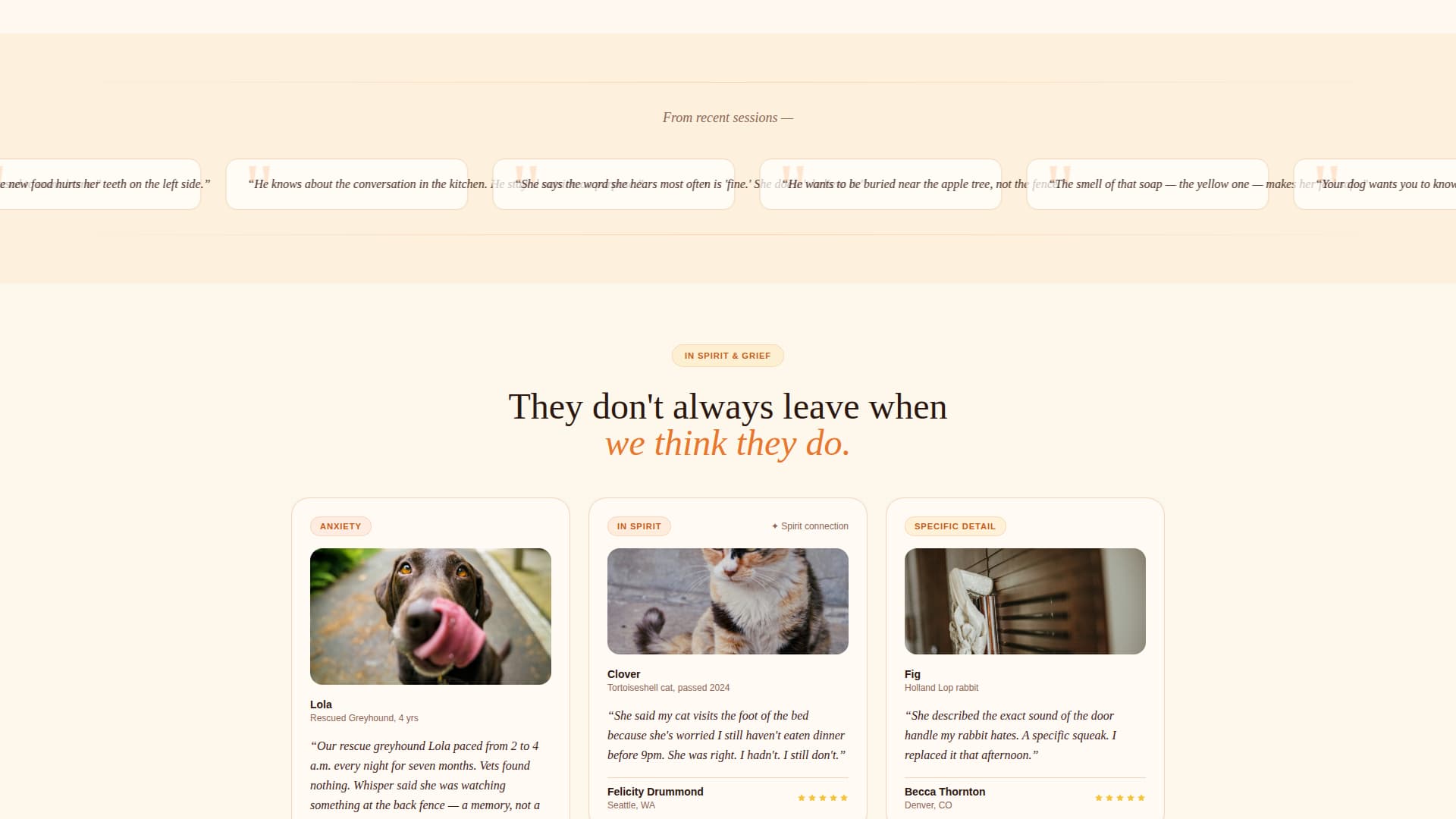 Whisper - Soulful Animalcommunication Landing Page Template