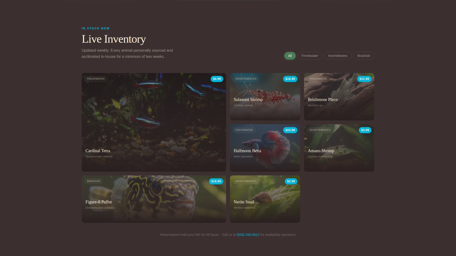 Tankfolk - Thriving Aquarium Landing Page Template