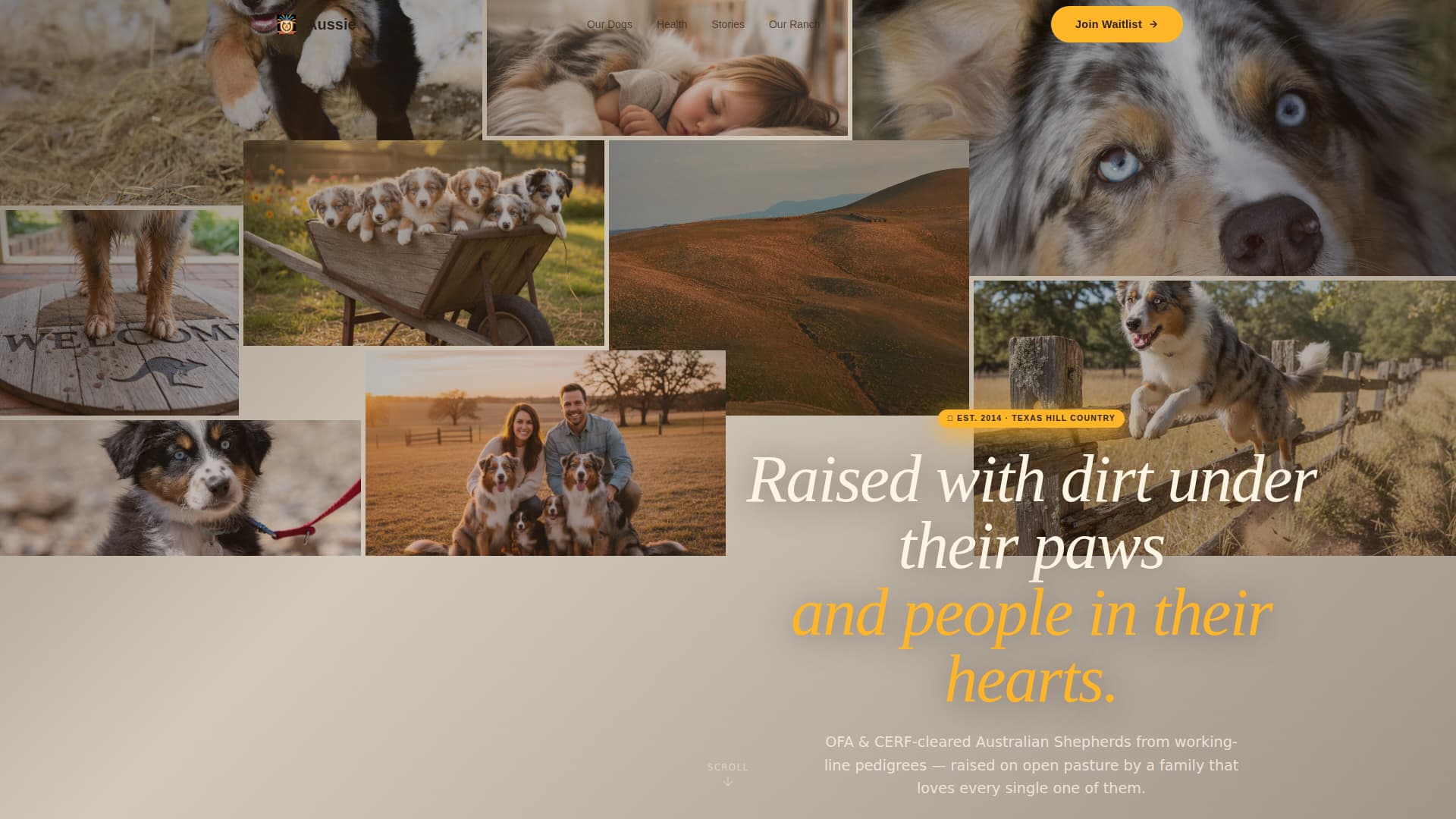 Aussie - Trusted Shepherd Landing Page Template