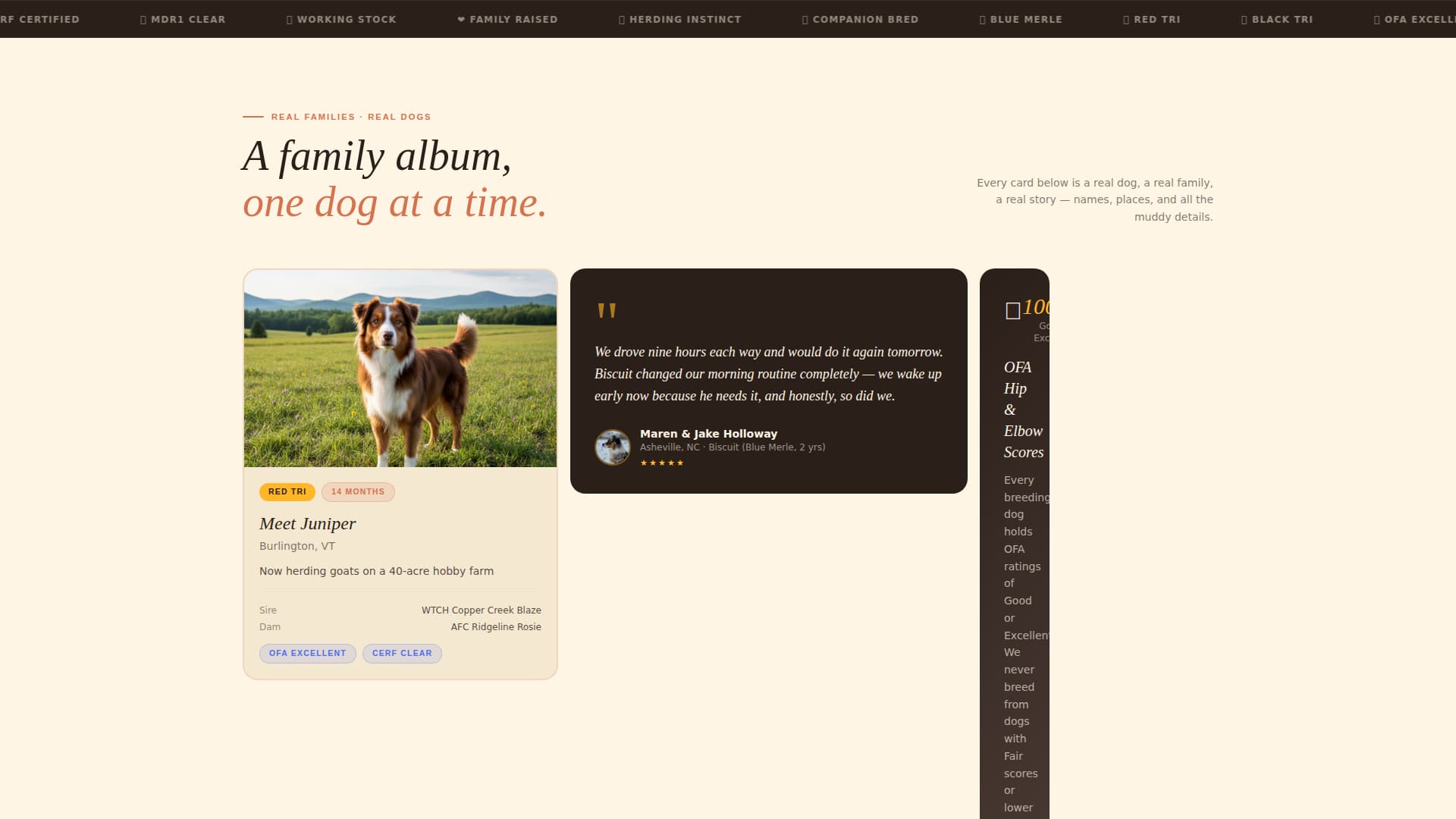 Aussie - Trusted Shepherd Landing Page Template