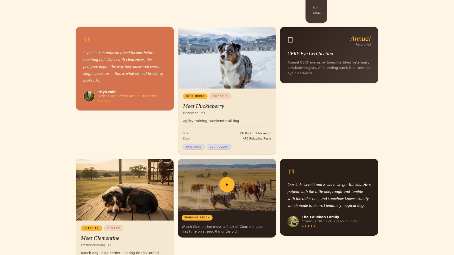 Aussie - Trusted Shepherd Landing Page Template