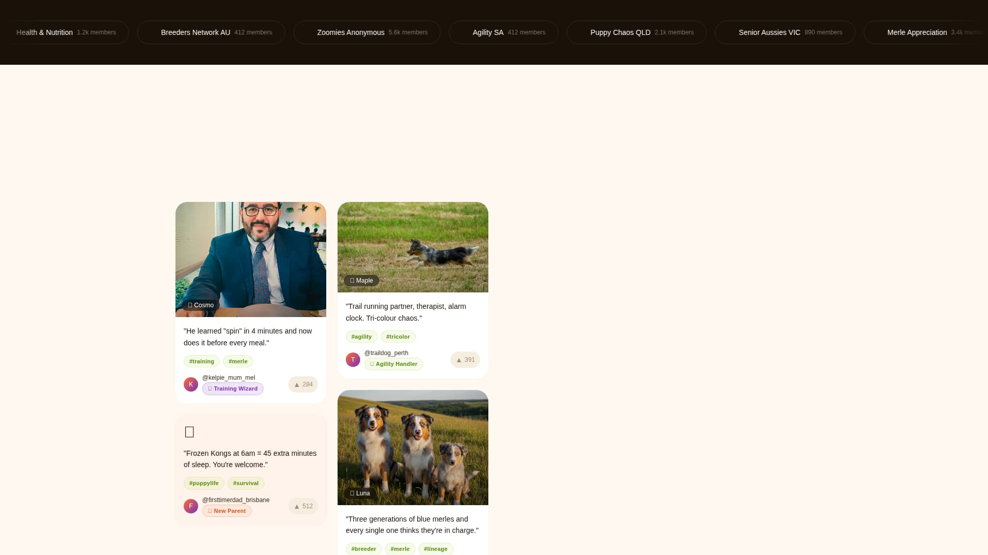 Dog Reviews Website Template