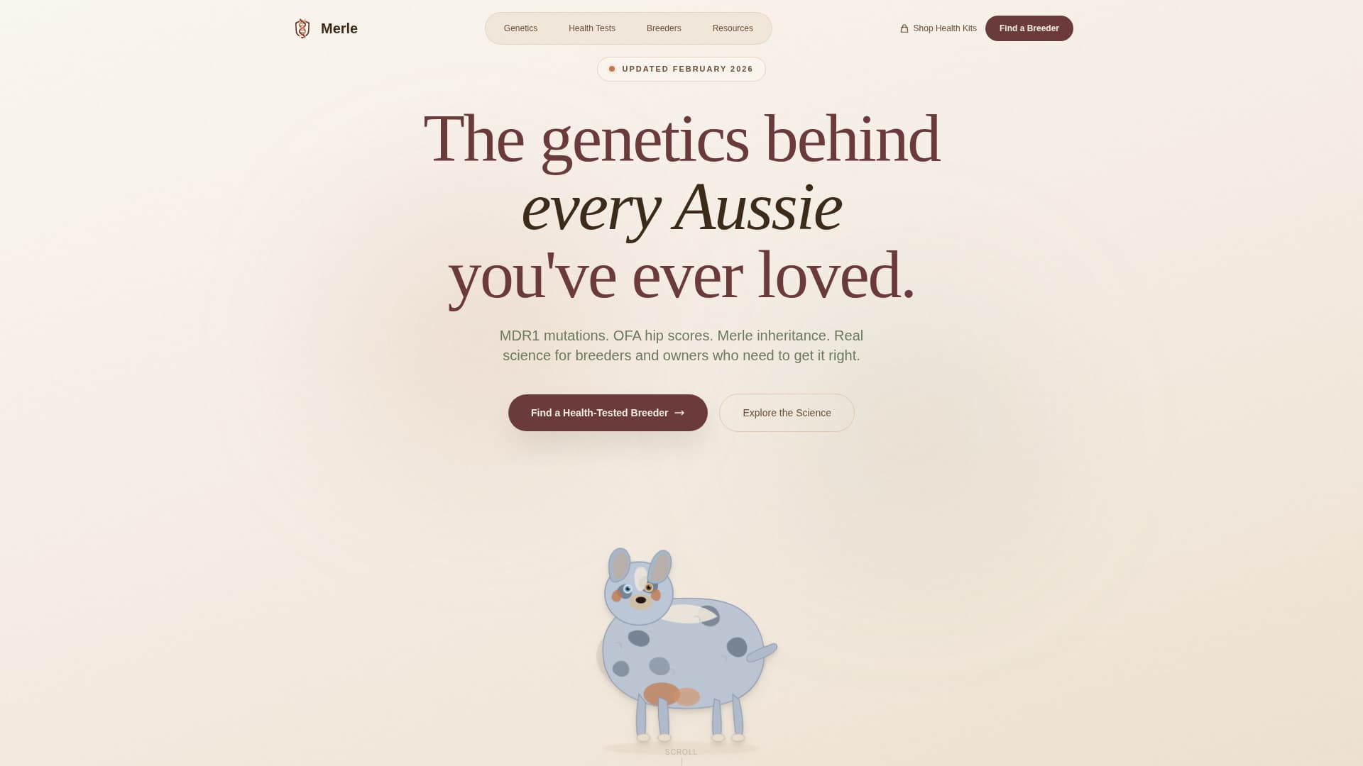 Dog Expert Reviews Website Template