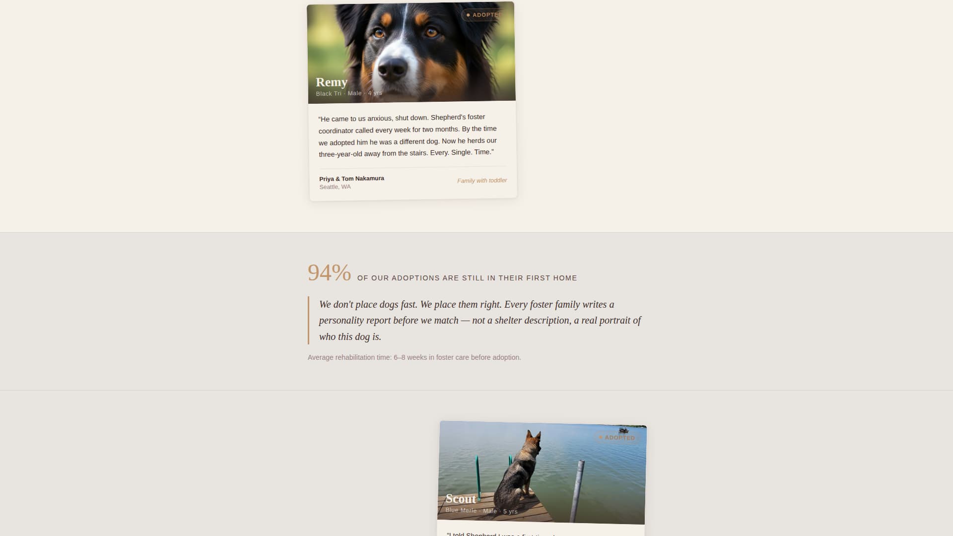 Dog Advanced Reviews Website Template