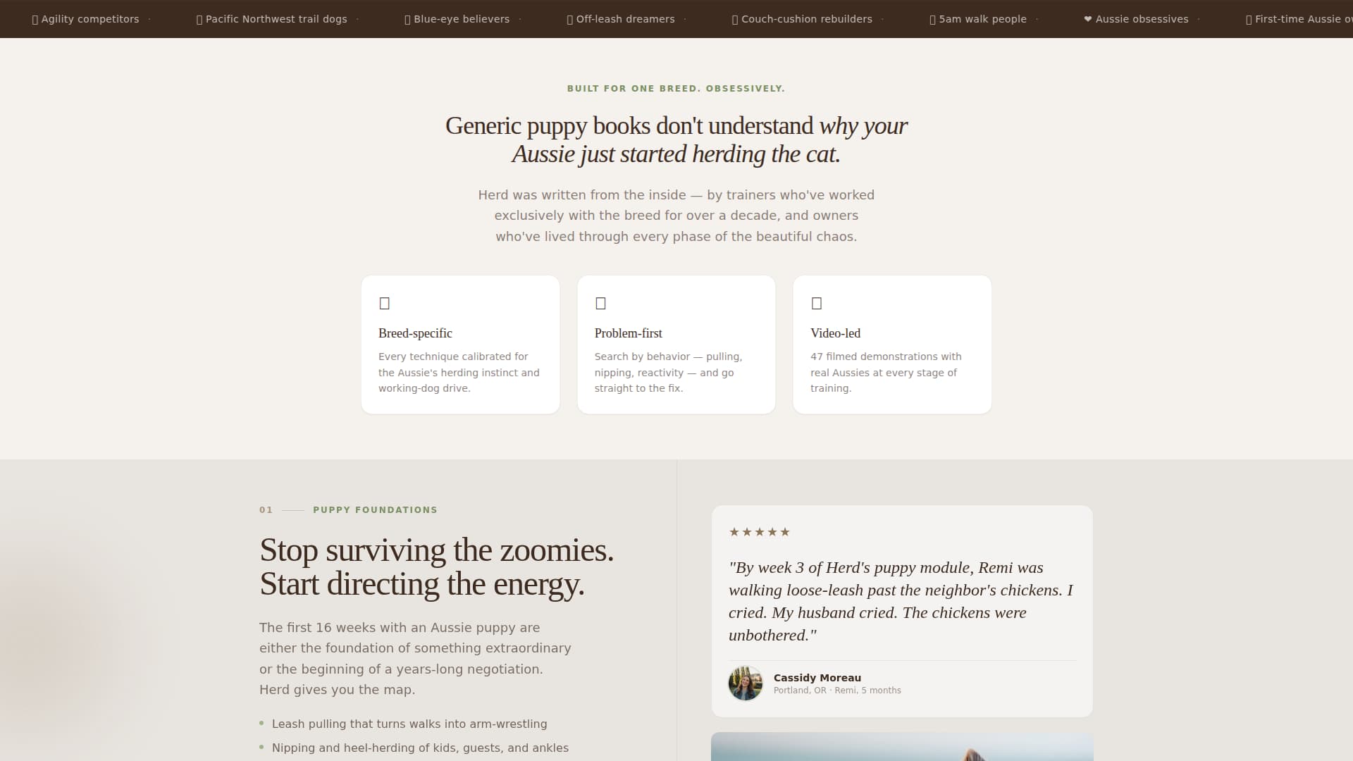 Dog Specialist Reviews Website Template