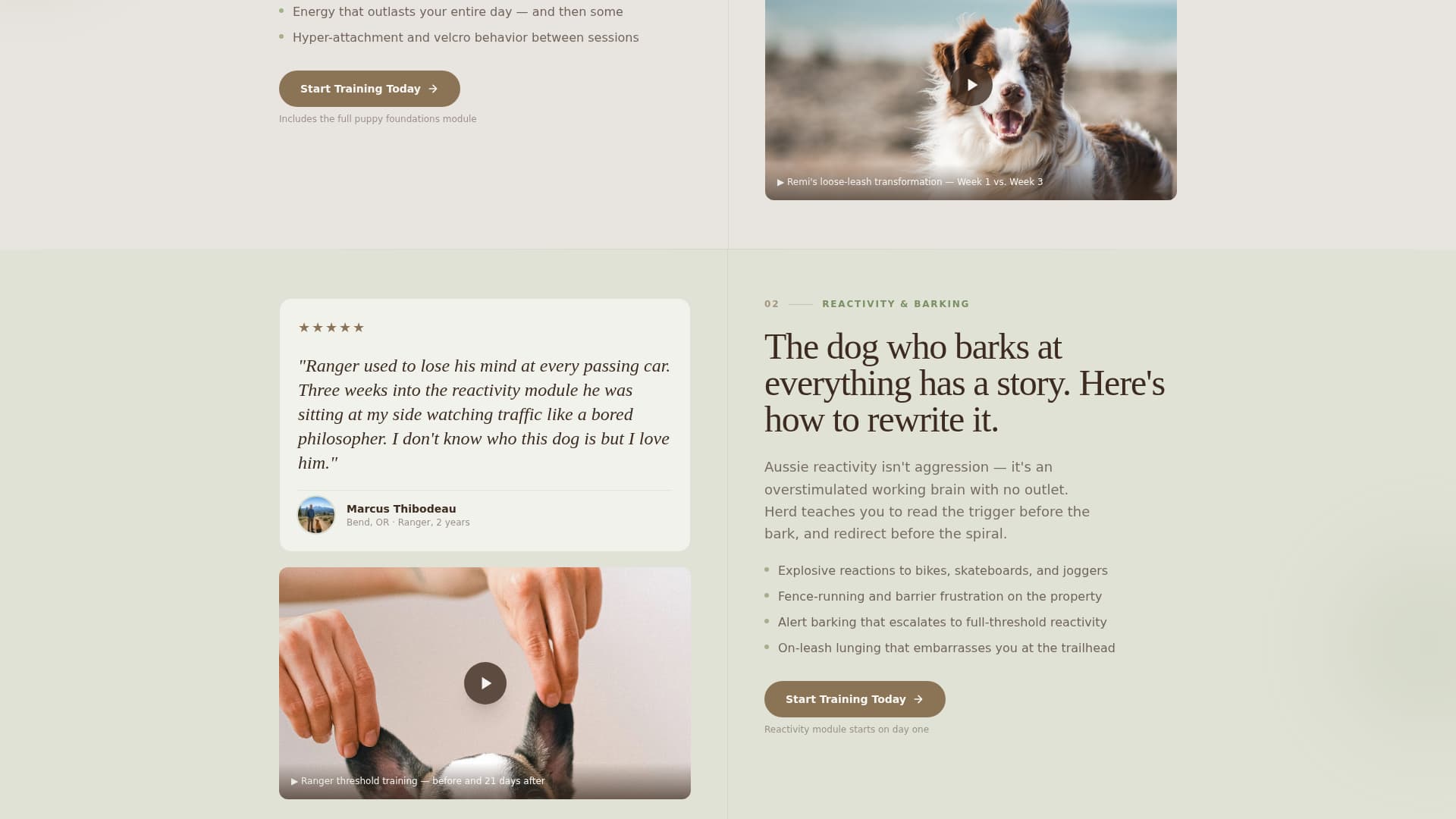 Dog Specialist Reviews Website Template