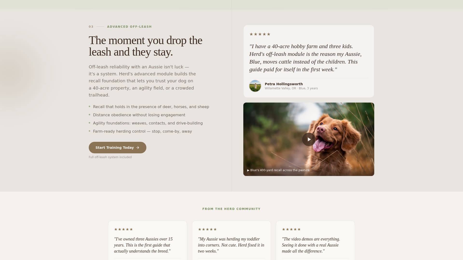 Dog Specialist Reviews Website Template
