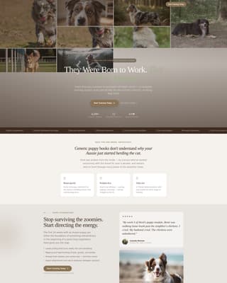 Dog Specialist Reviews Website Template
