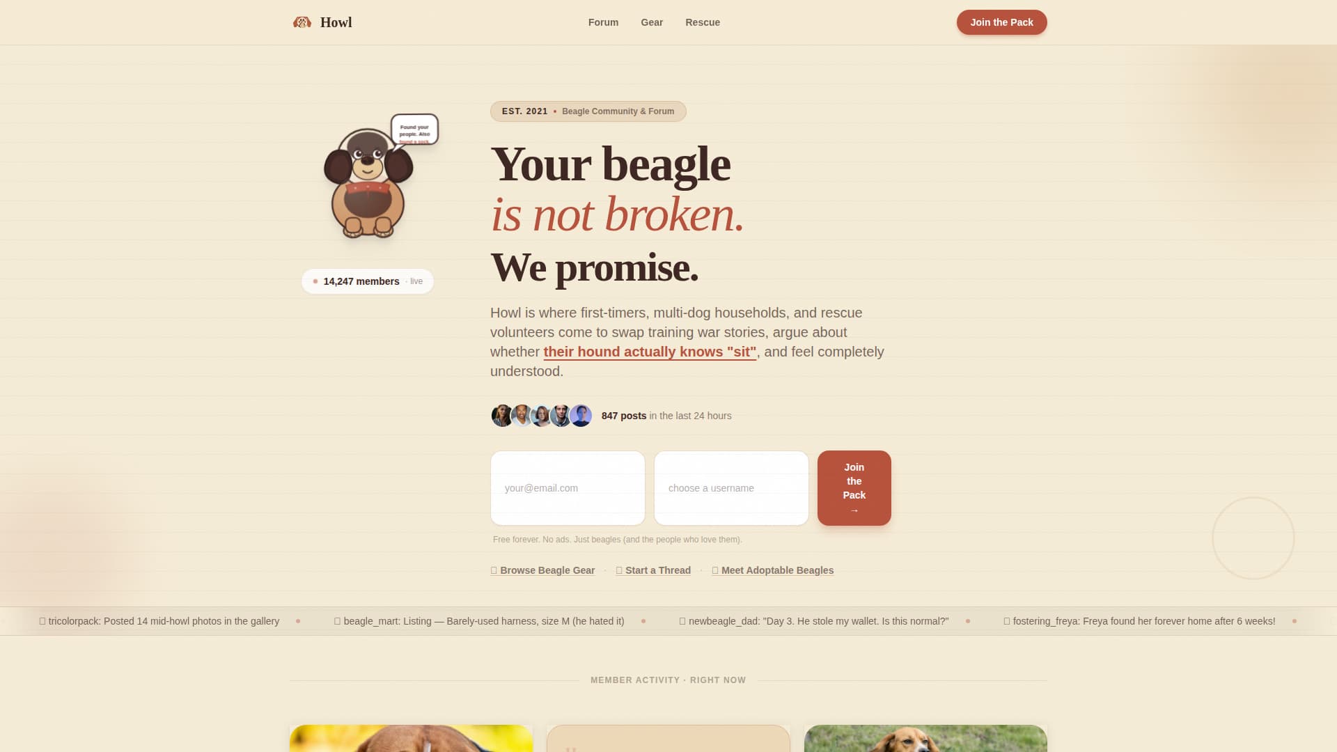 Dog Premium Reviews Website Template