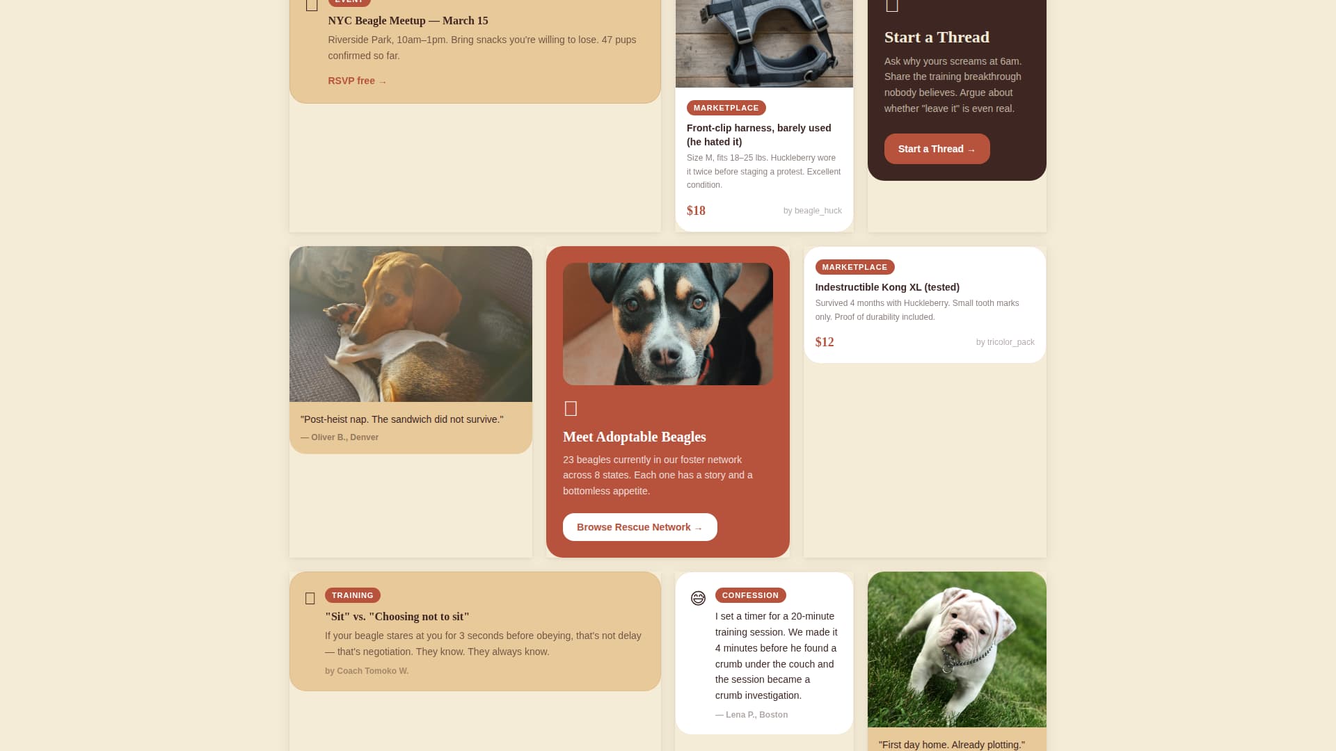 Dog Premium Reviews Website Template