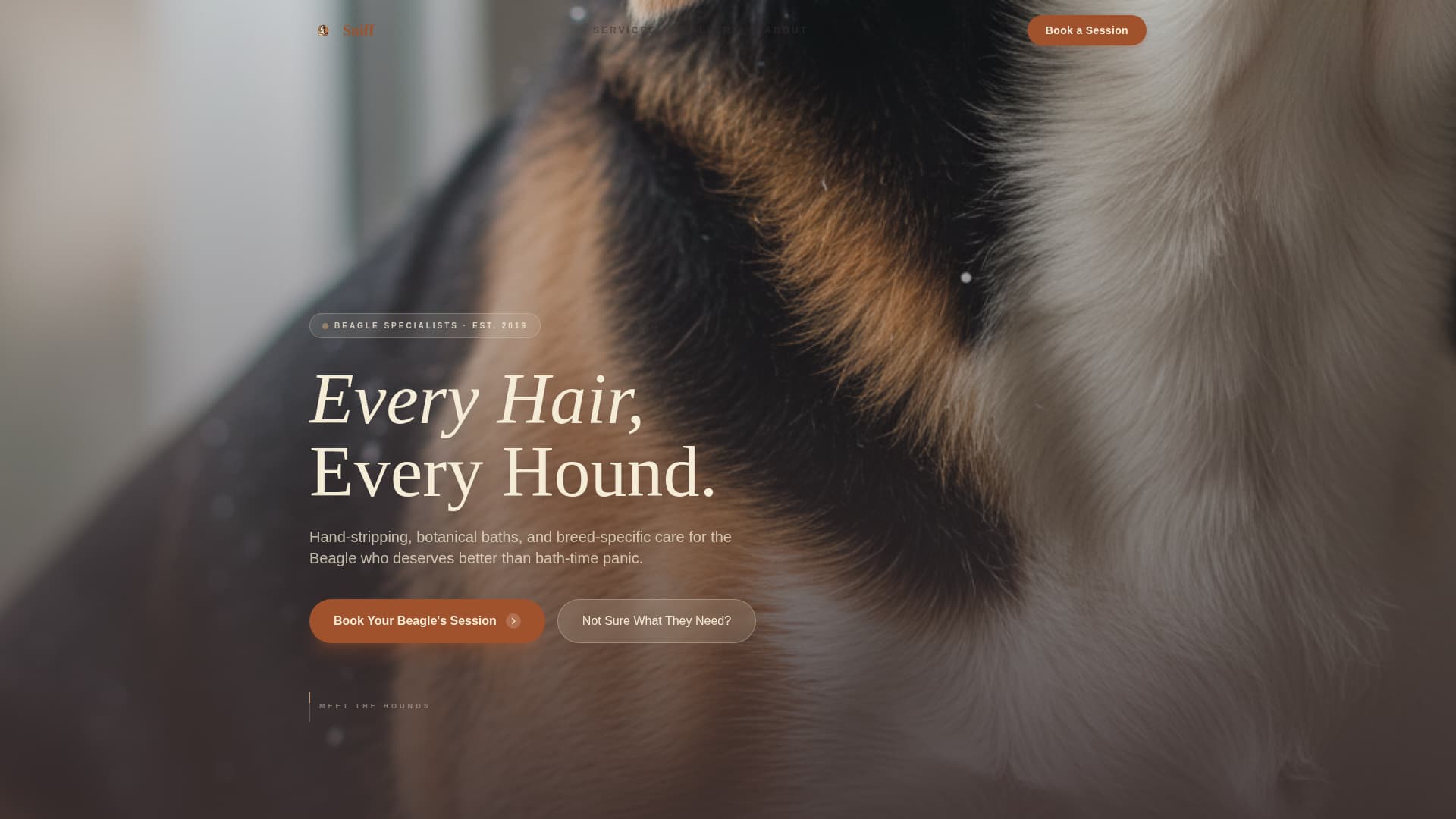 Dog Complete Booking Website Template