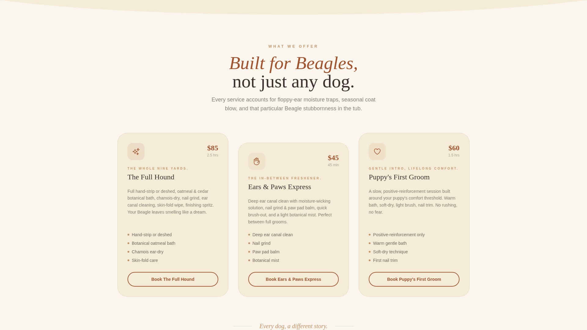 Dog Complete Booking Website Template