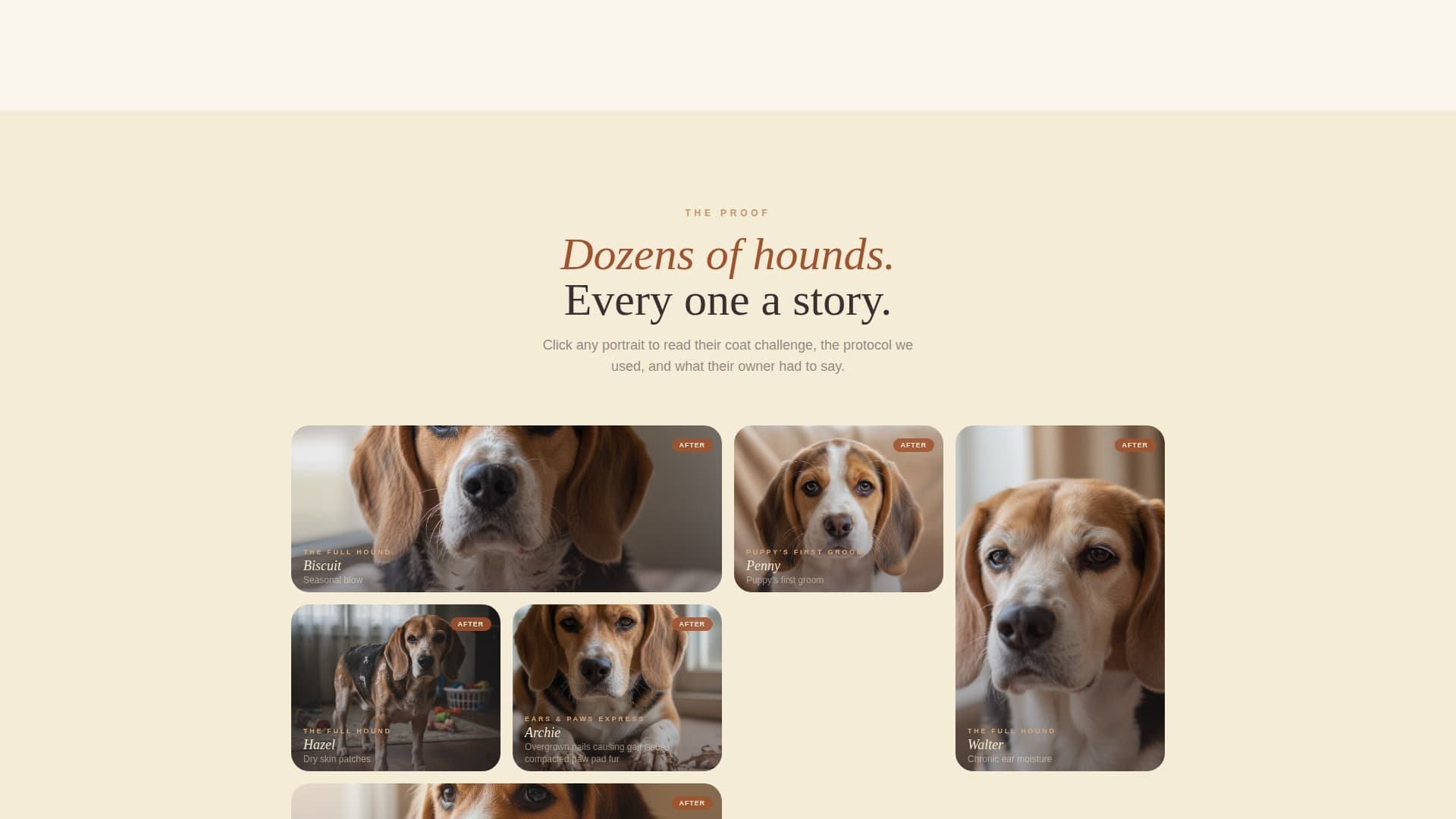 Dog Complete Booking Website Template
