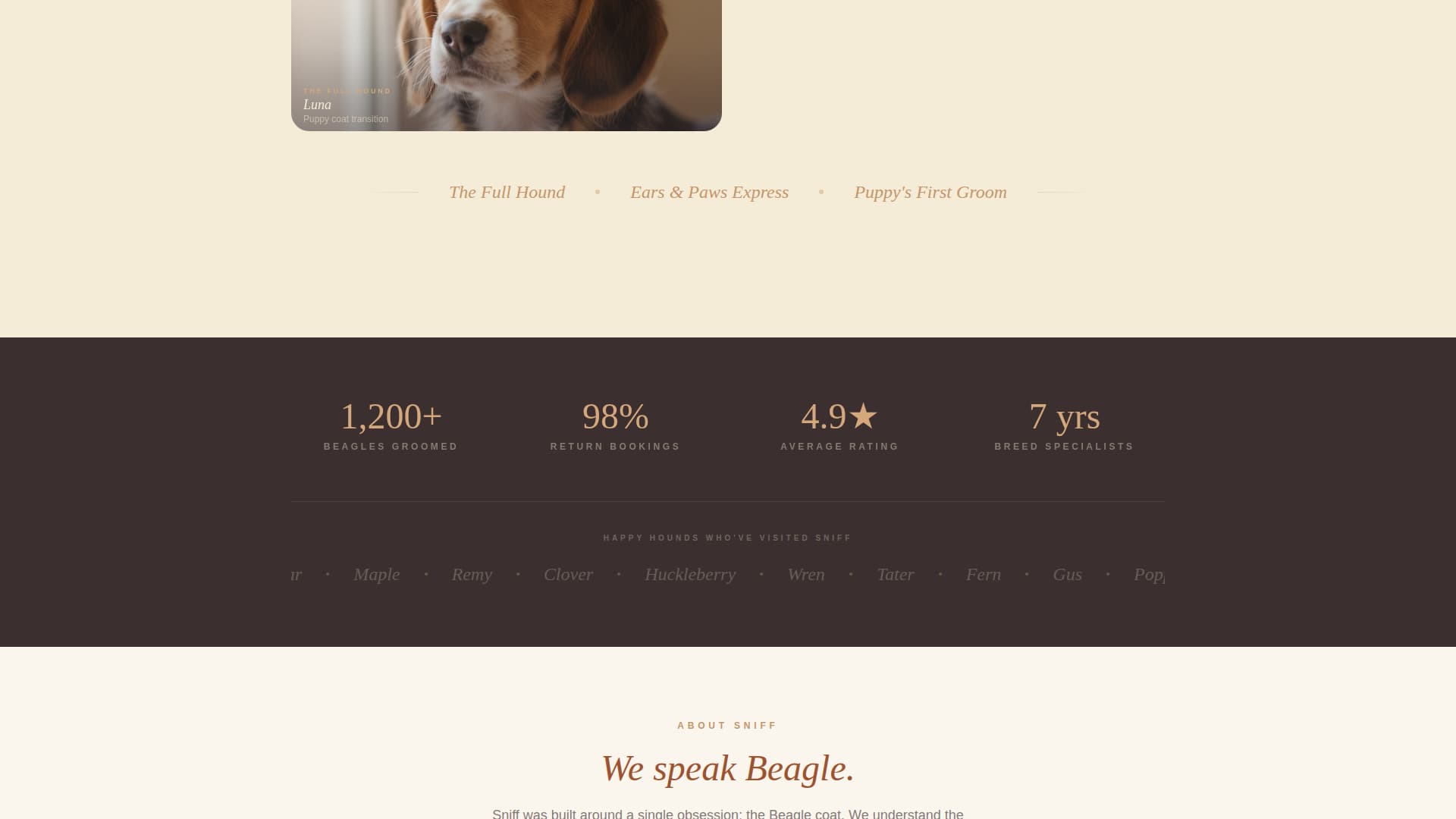 Dog Complete Booking Website Template