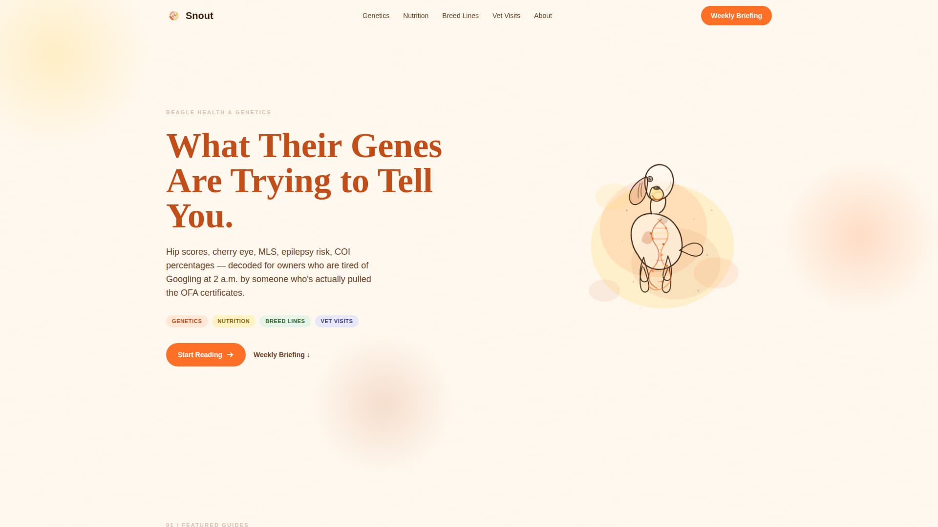 Dog Blog Website Template