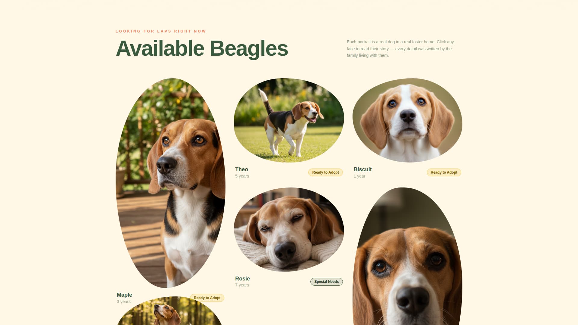 Dog Expert Professional Website Template