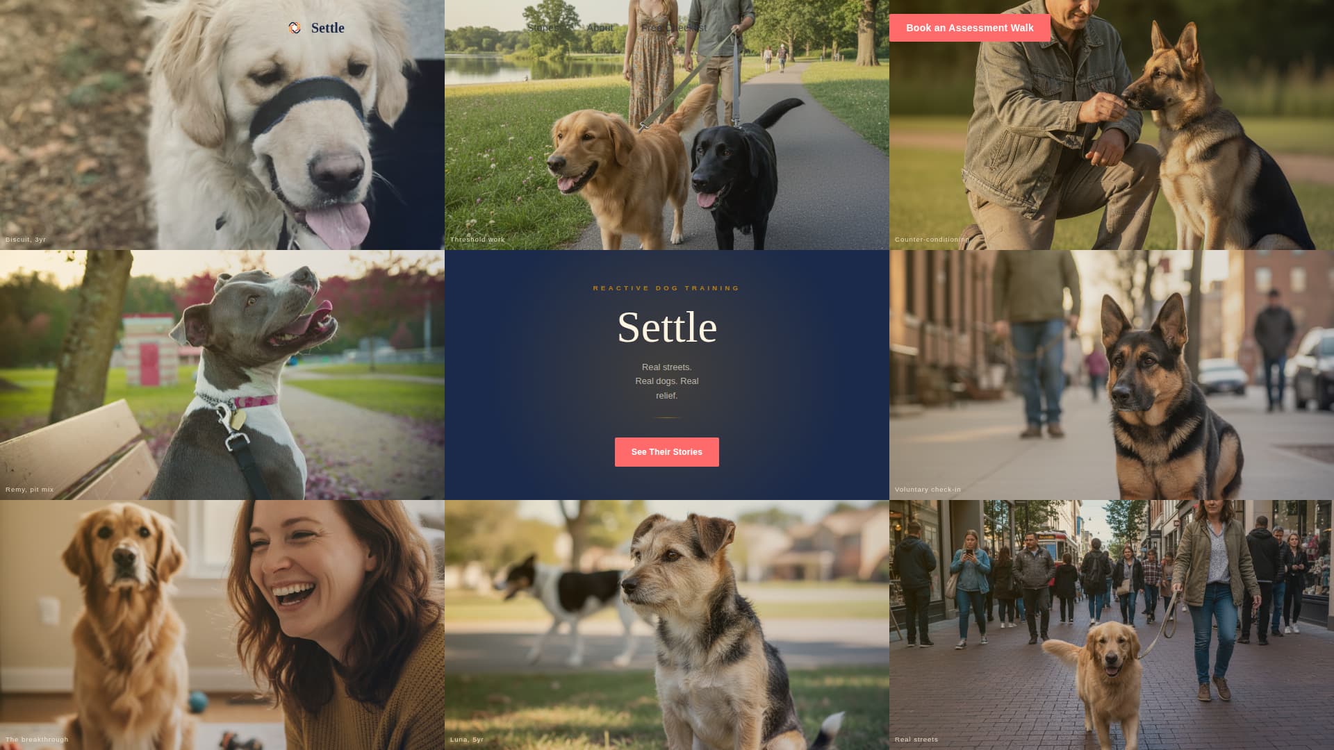 Settle - Transformative Reactivity Landing Page Template