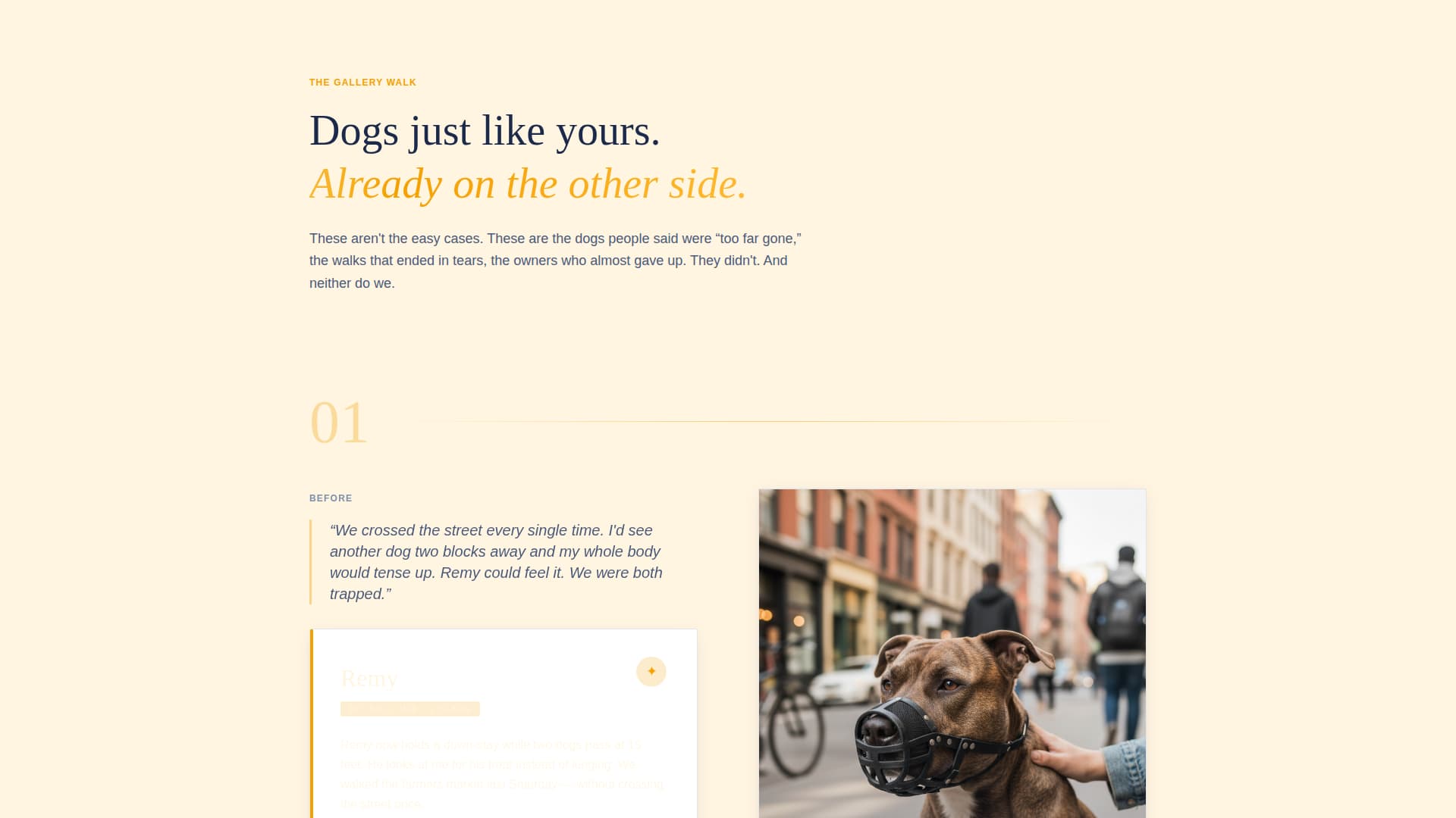 Settle - Transformative Reactivity Landing Page Template