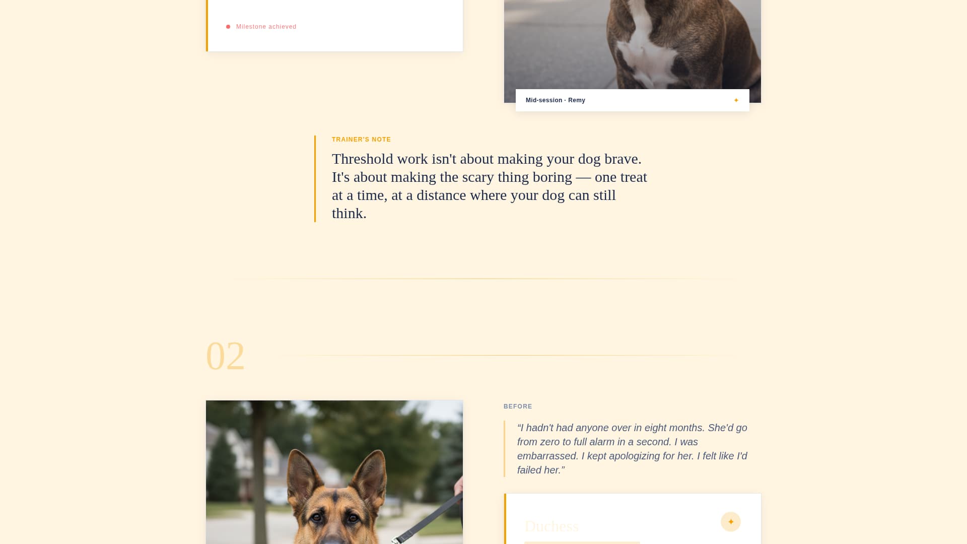 Settle - Transformative Reactivity Landing Page Template