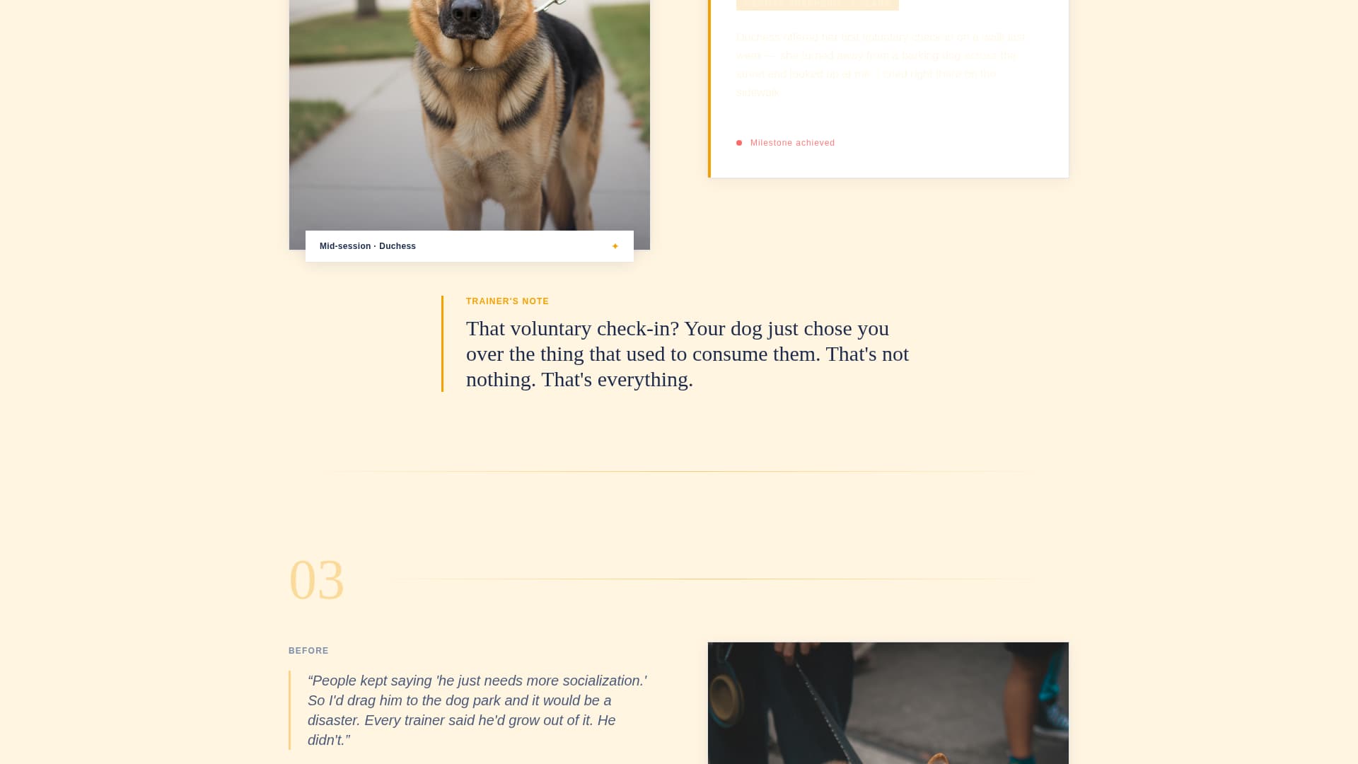 Settle - Transformative Reactivity Landing Page Template