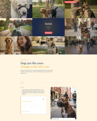 Settle - Transformative Reactivity Landing Page Template