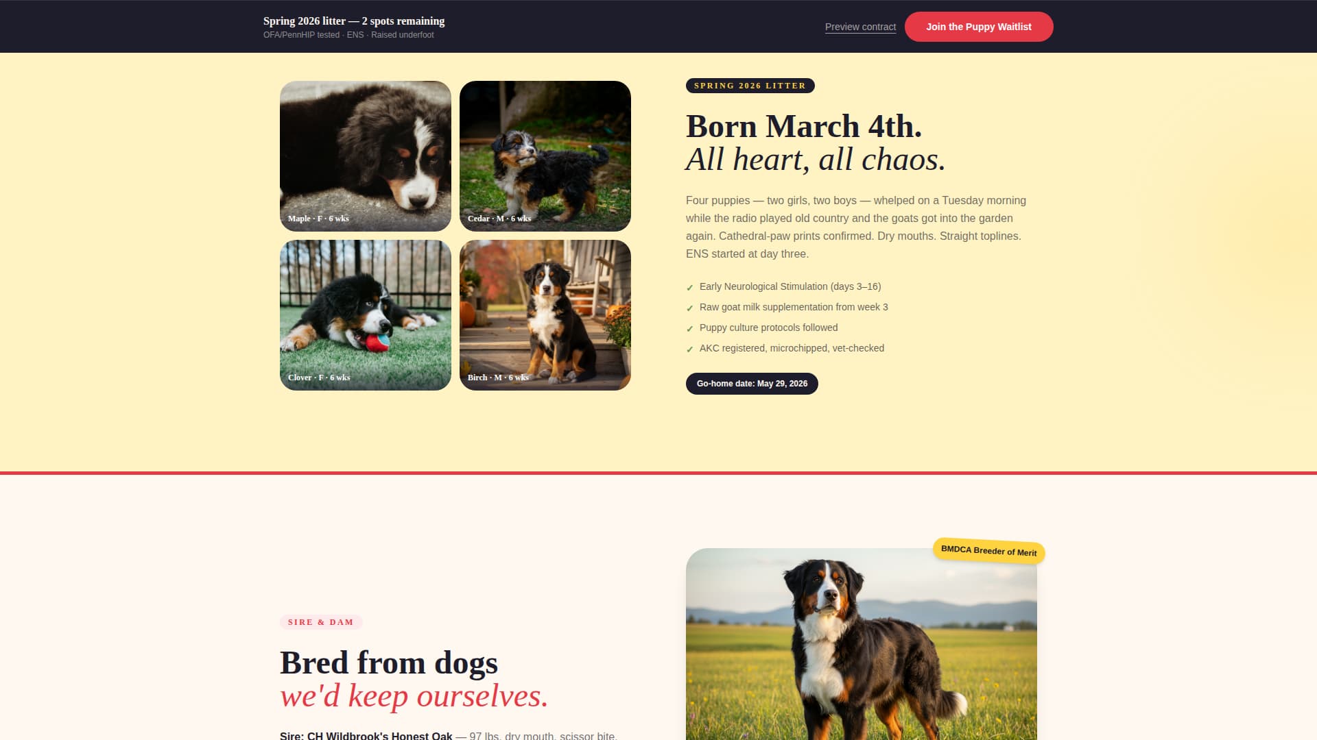 Berner - Heartwarming Breeder Landing Page Template