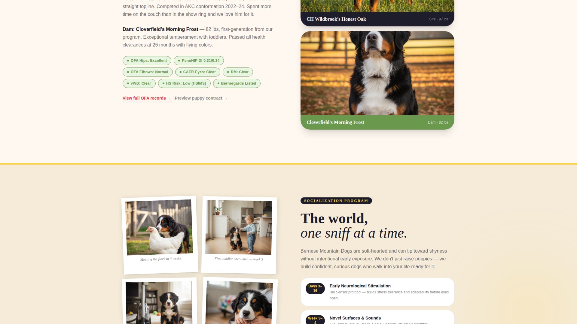Berner - Heartwarming Breeder Landing Page Template