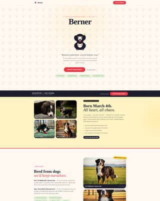 Berner - Heartwarming Breeder Landing Page Template