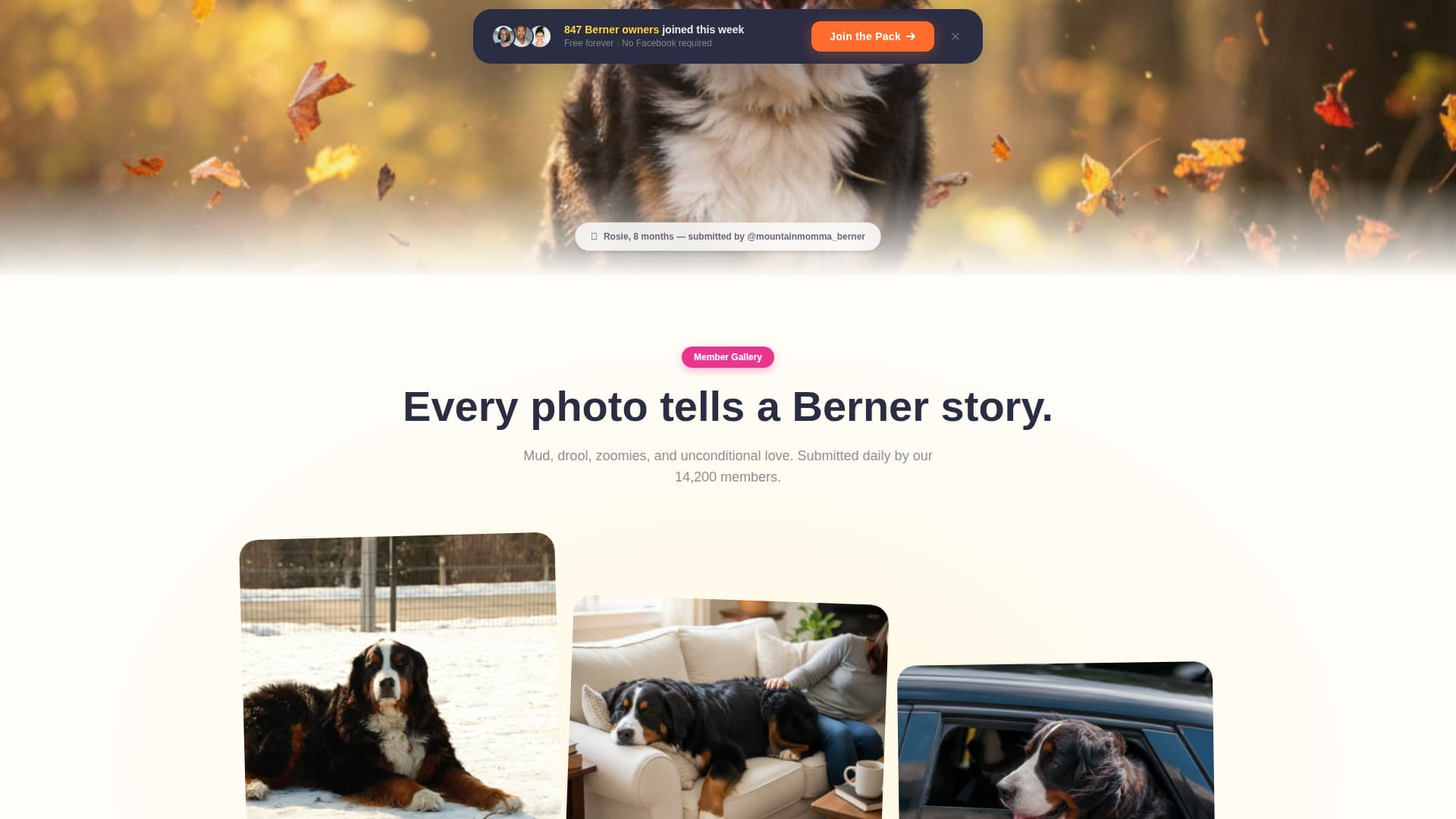 Berner - Vibrant Community Landing Page Template