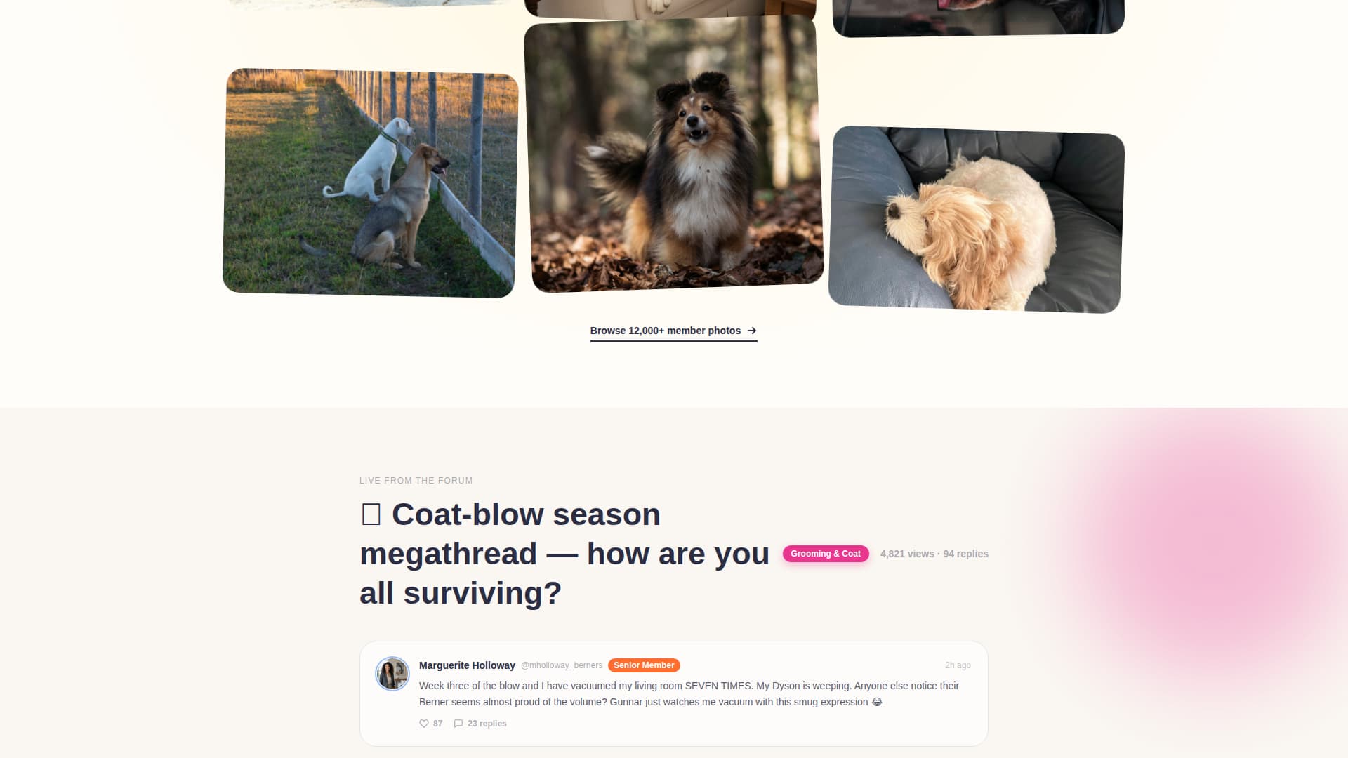 Berner - Vibrant Community Landing Page Template