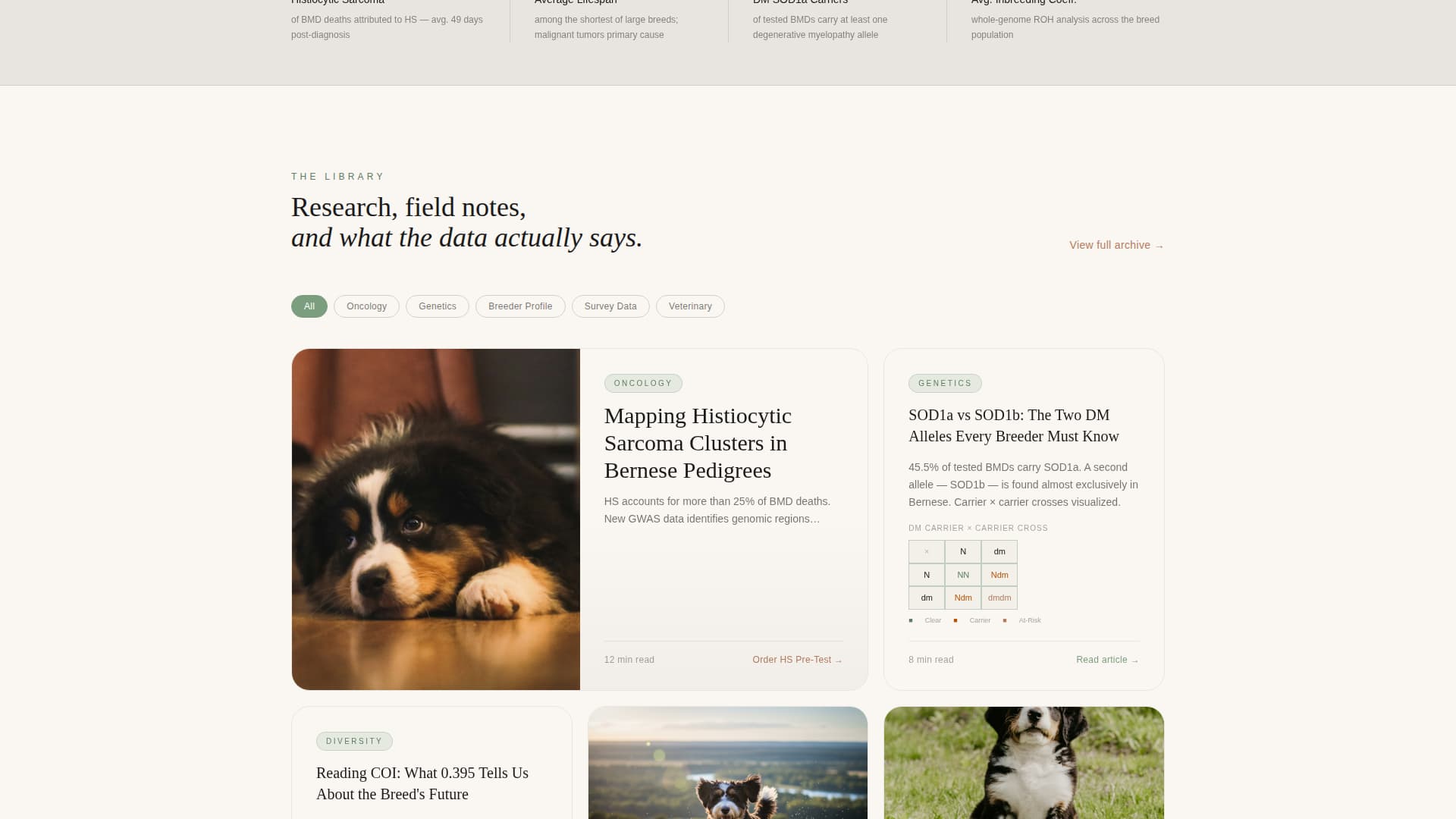 Dog Directory Website Template