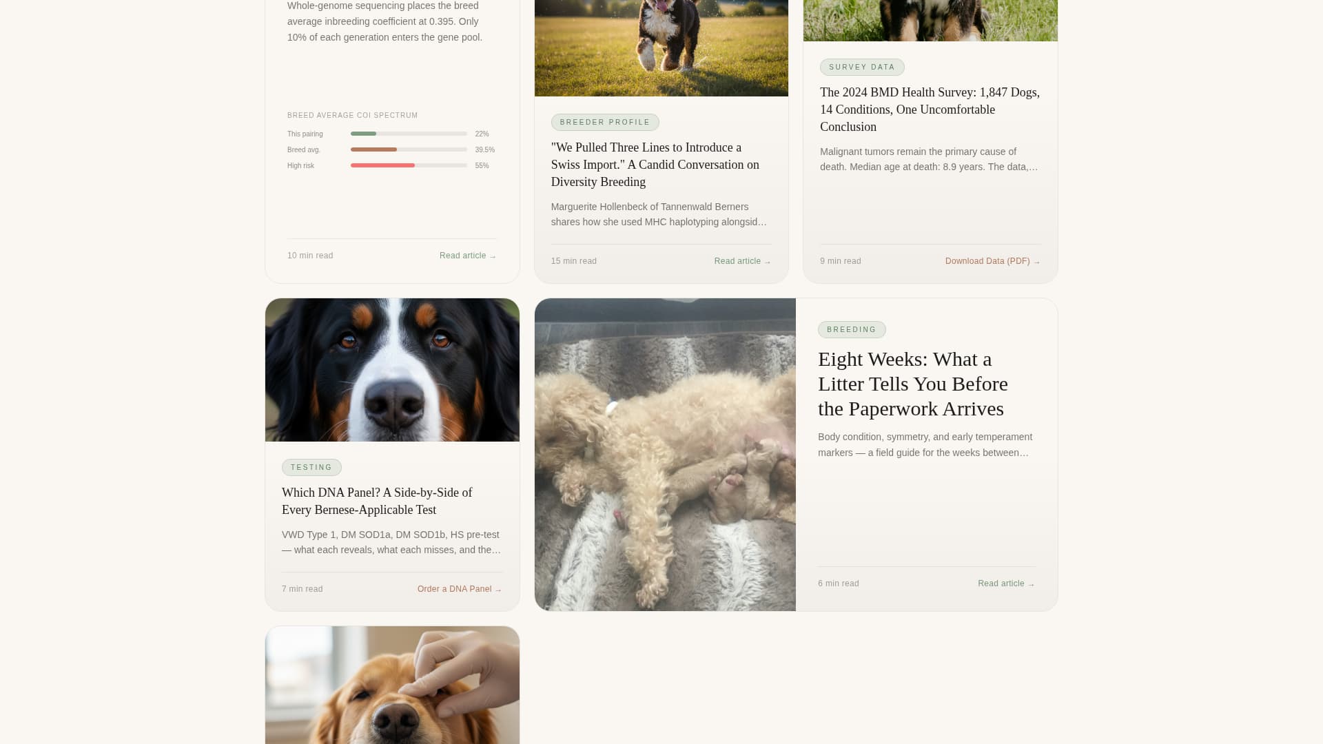 Dog Directory Website Template