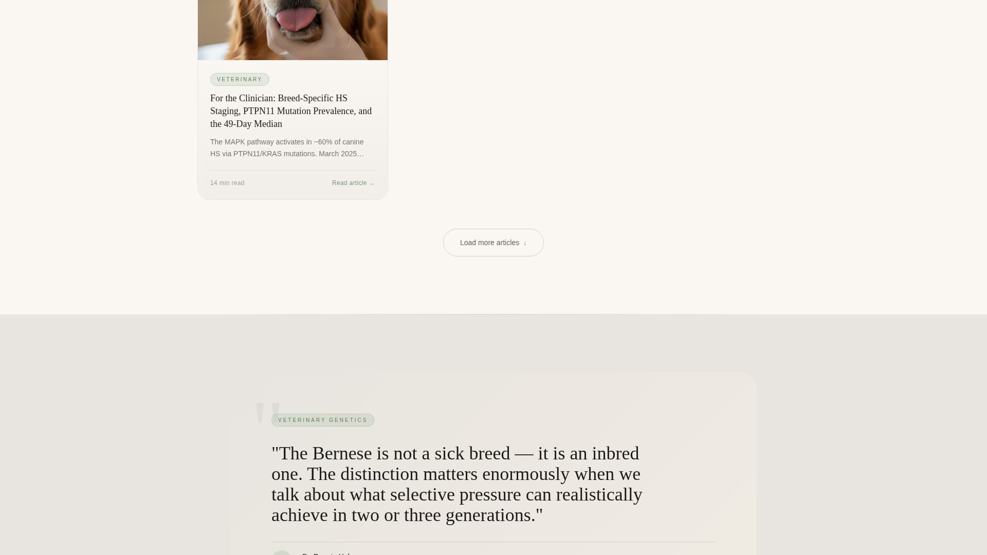 Dog Directory Website Template